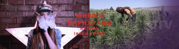 ешки Аркадак