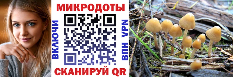 Псилоцибиновые грибы мицелий  Орлов 